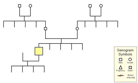 hoe maak je een genogram|Inzicht in je familiesysteem: Maak je eigen genogram